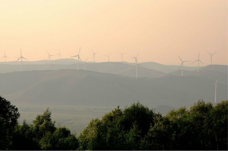 一只泰迪帶你端午節(jié)游木蘭圍場