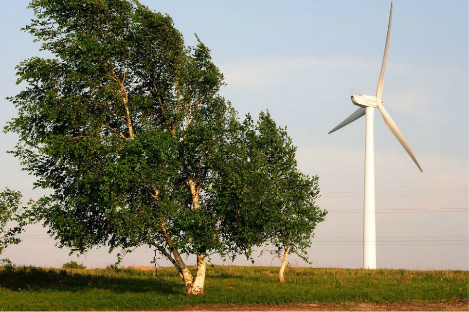 一只泰迪帶你端午節(jié)游木蘭圍場