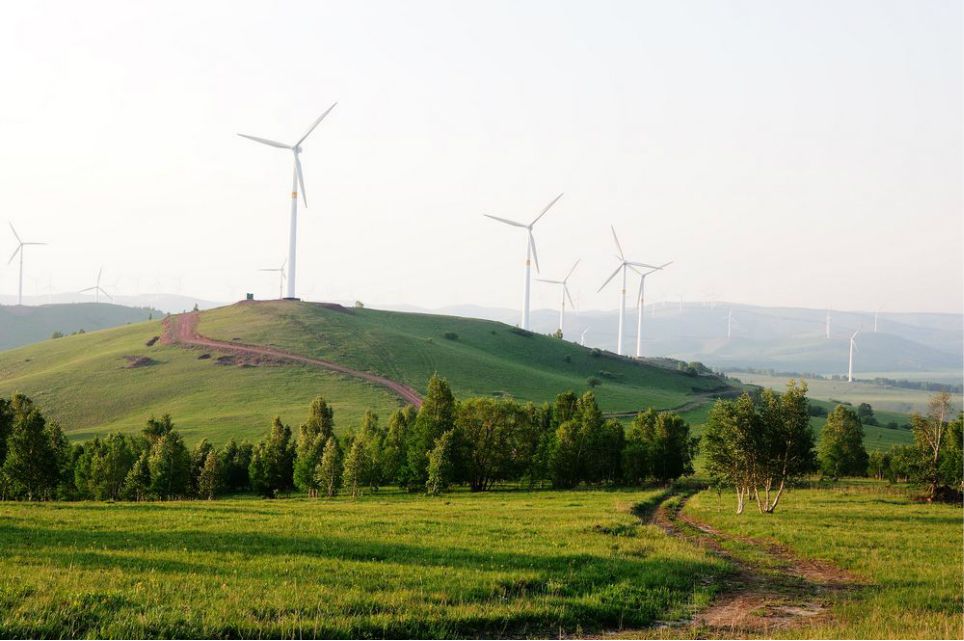 一只泰迪帶你端午節(jié)游木蘭圍場