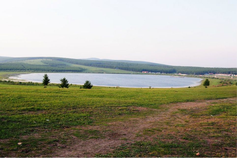 一只泰迪帶你端午節(jié)游木蘭圍場