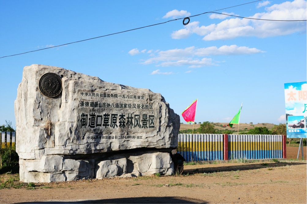 一只泰迪帶你端午節(jié)游木蘭圍場