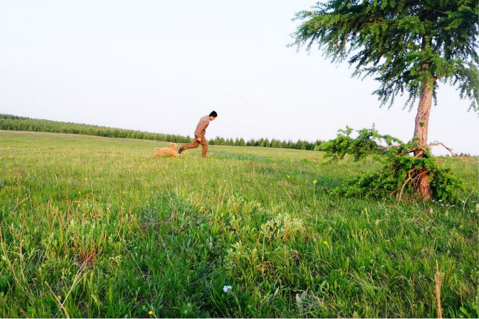 一只泰迪帶你端午節(jié)游木蘭圍場