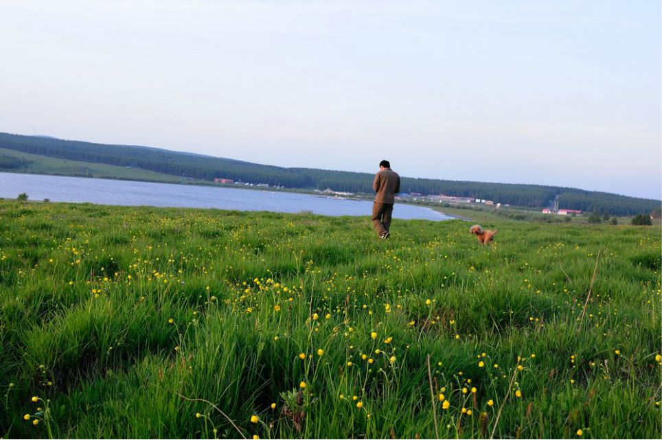 一只泰迪帶你端午節(jié)游木蘭圍場