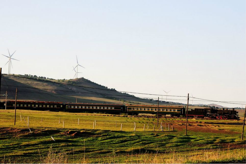 一只泰迪帶你端午節(jié)游木蘭圍場