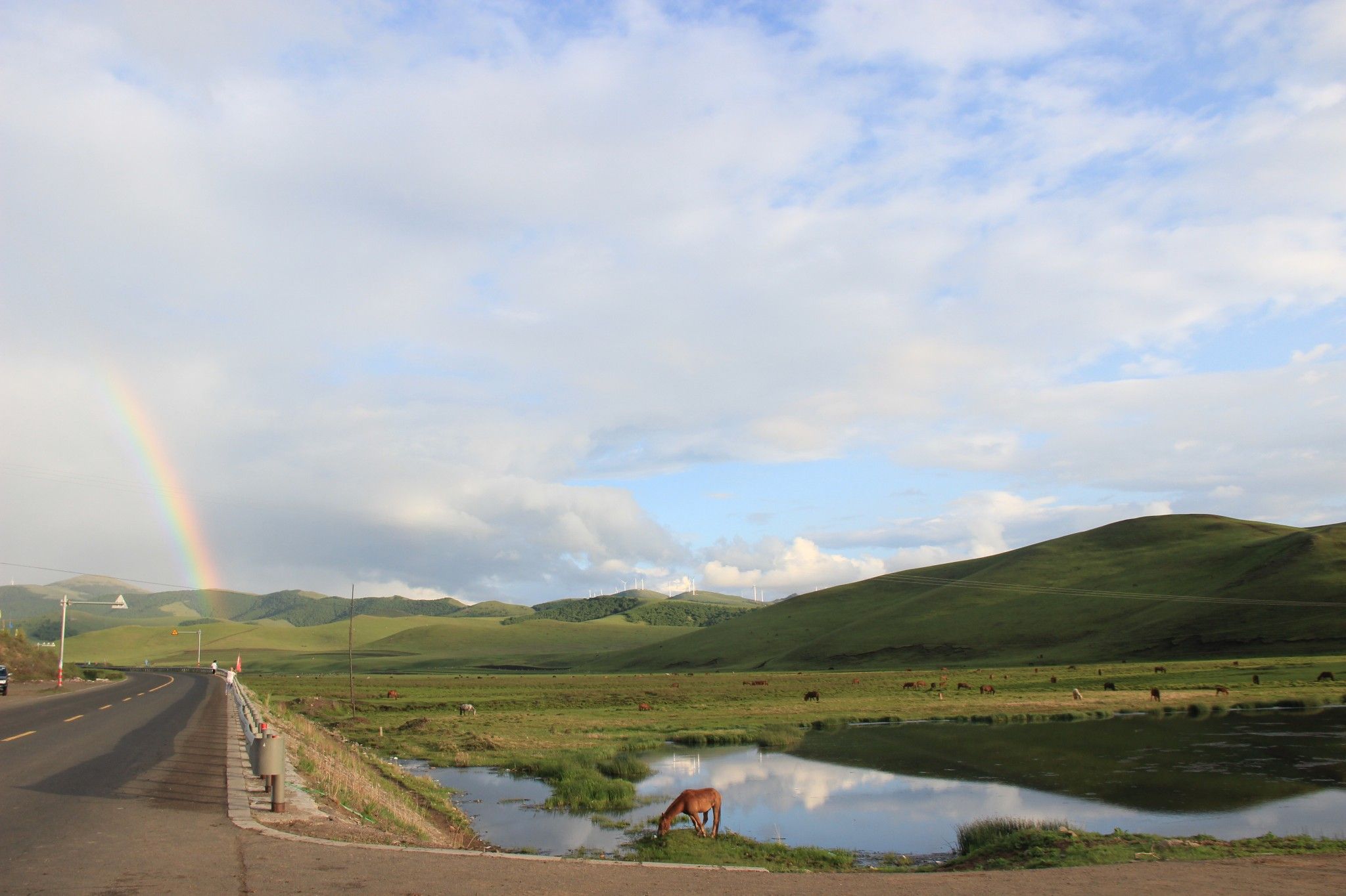 （豐寧壩上）去草原，吹吹風~