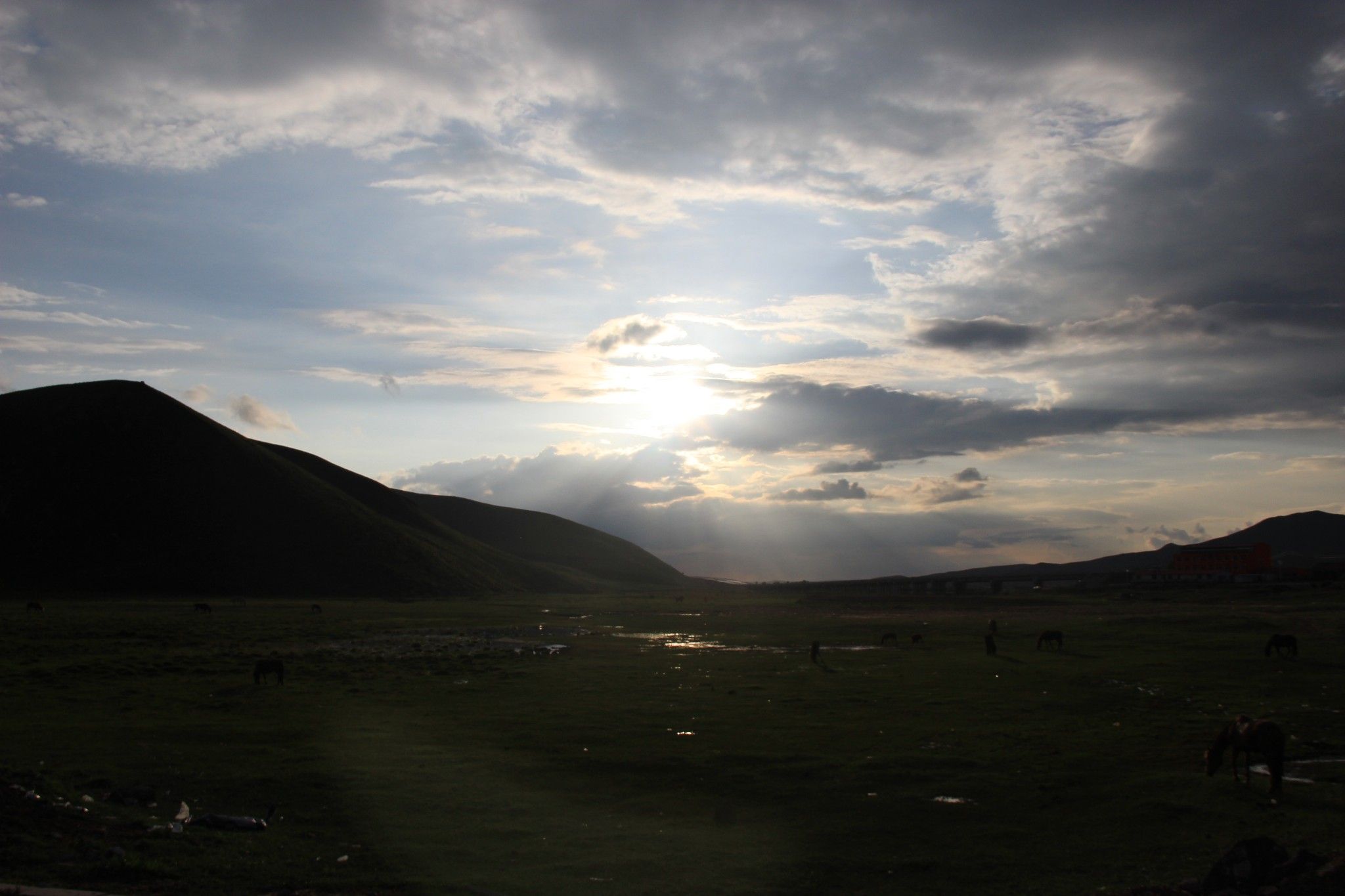 （豐寧壩上）去草原，吹吹風~