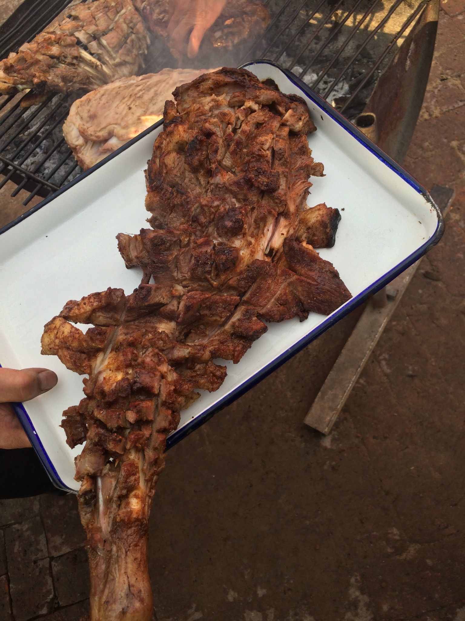 （豐寧壩上）去草原，吹吹風~