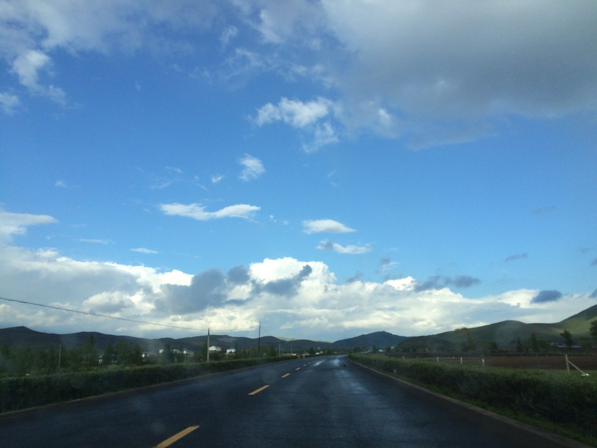 （豐寧壩上）去草原，吹吹風~