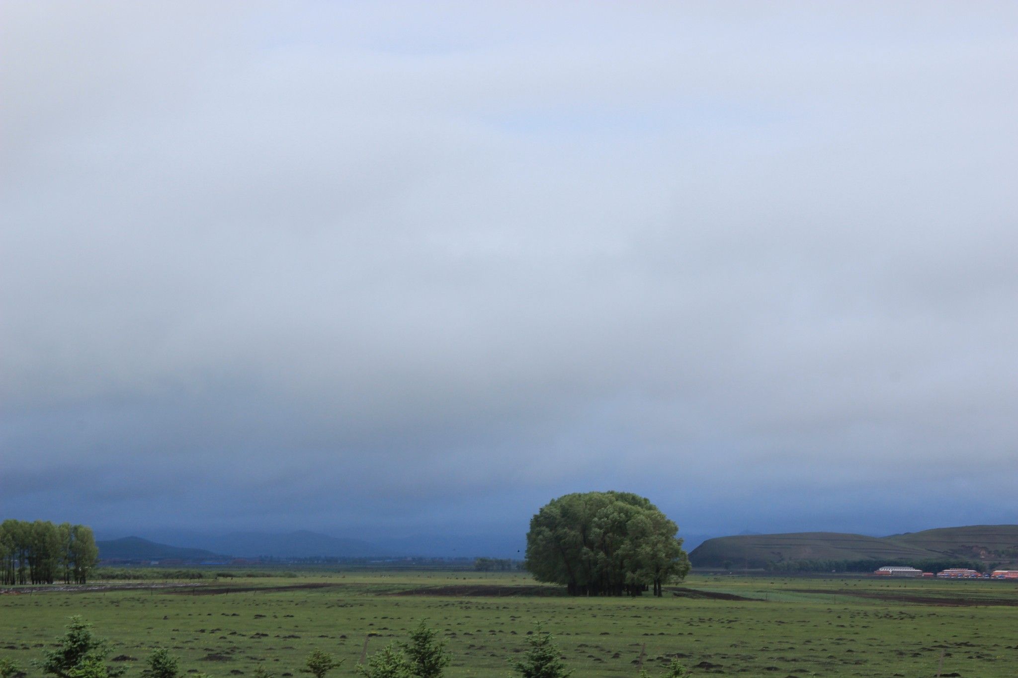 （豐寧壩上）去草原，吹吹風~