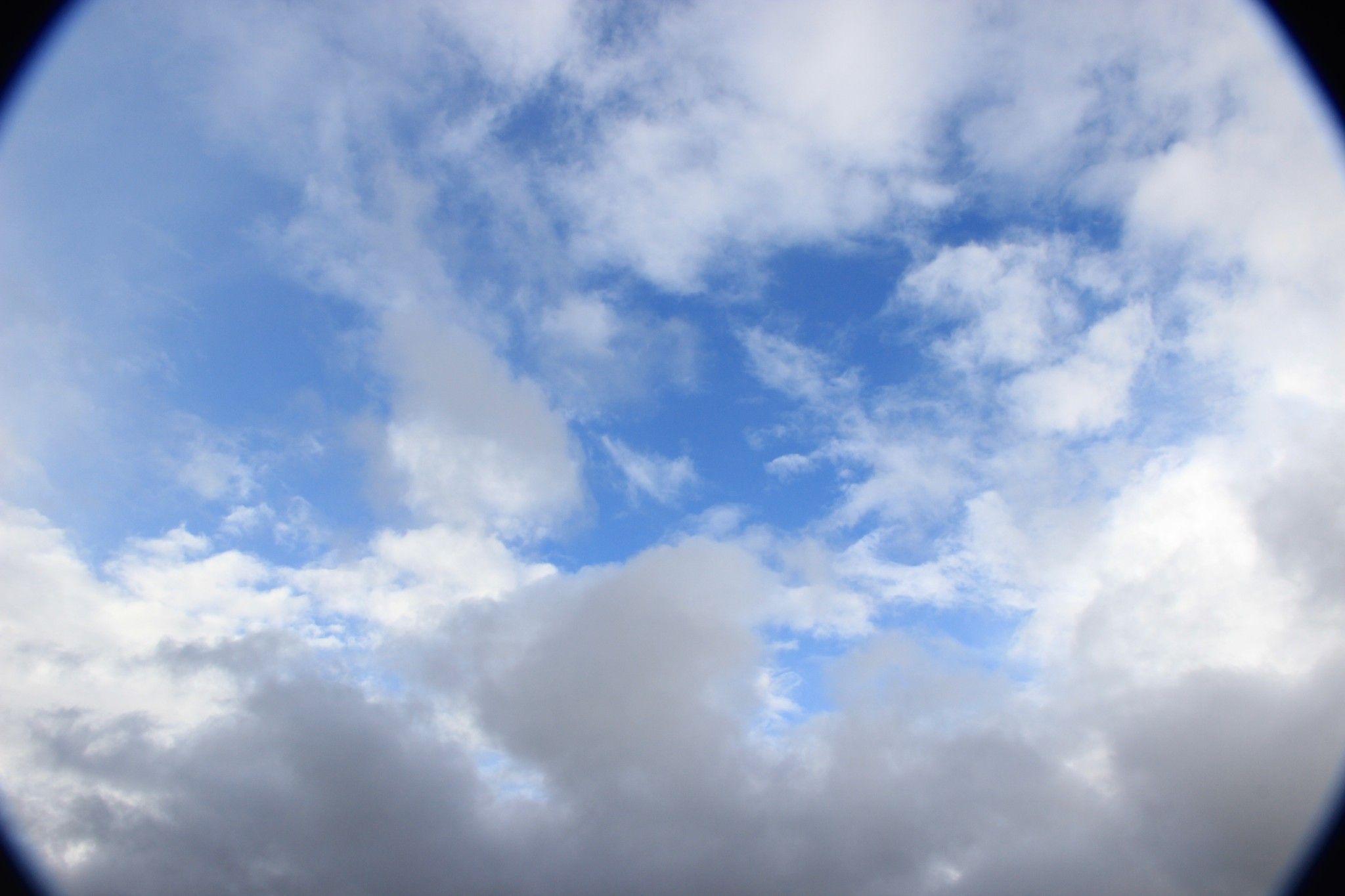 （豐寧壩上）去草原，吹吹風~