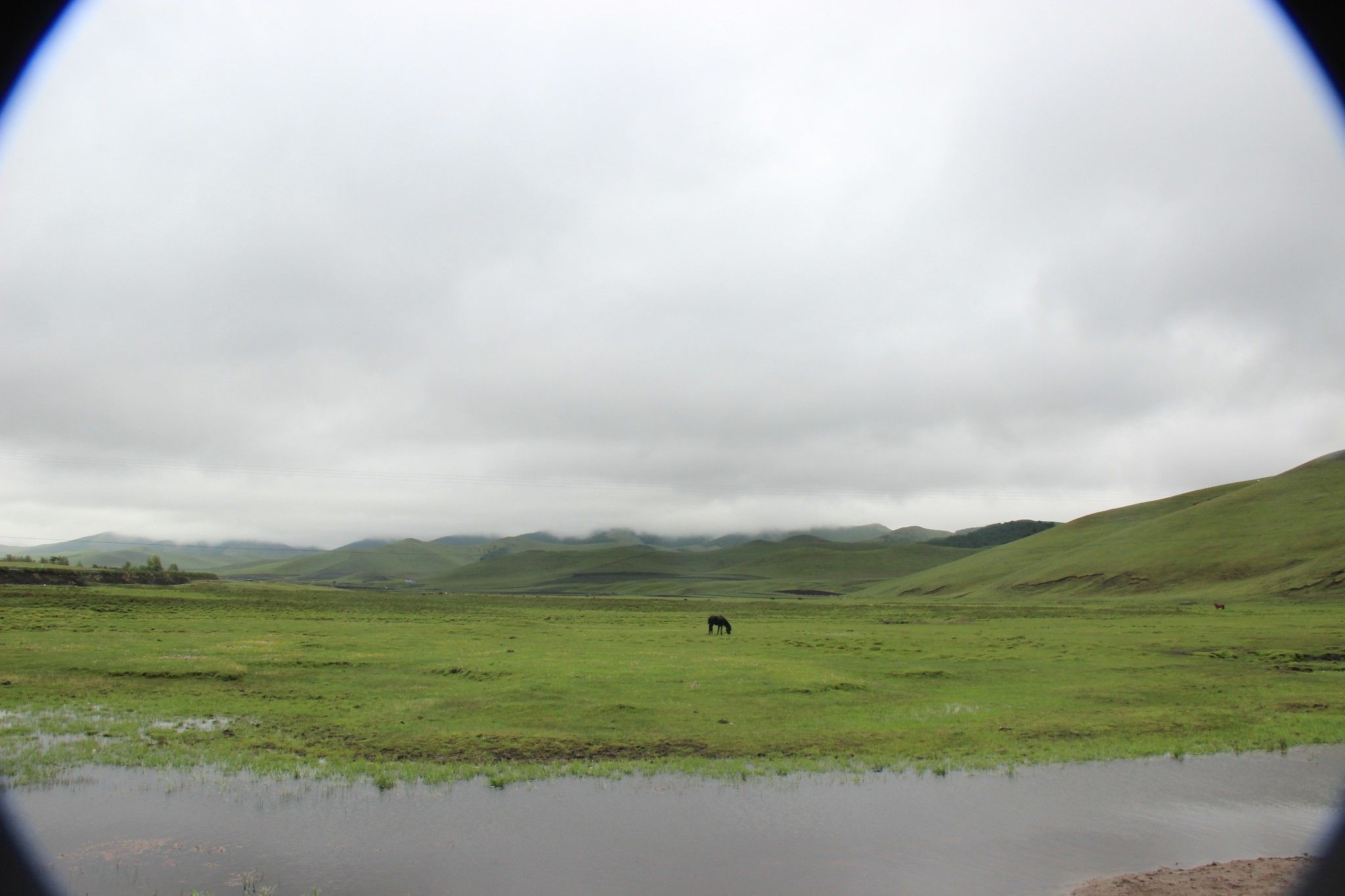 （豐寧壩上）去草原，吹吹風~