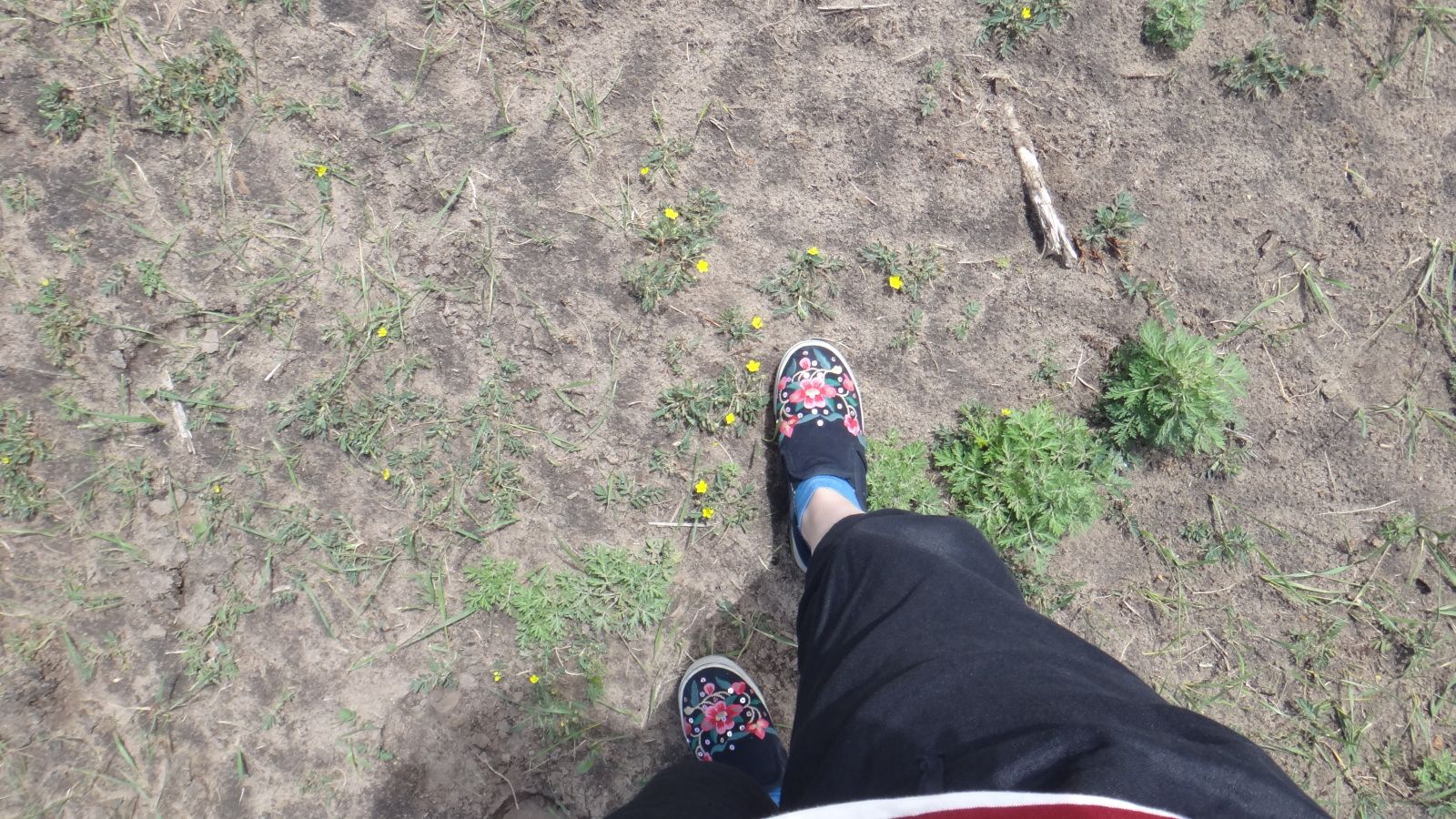 我去 這里睡大覺 （木蘭圍場）