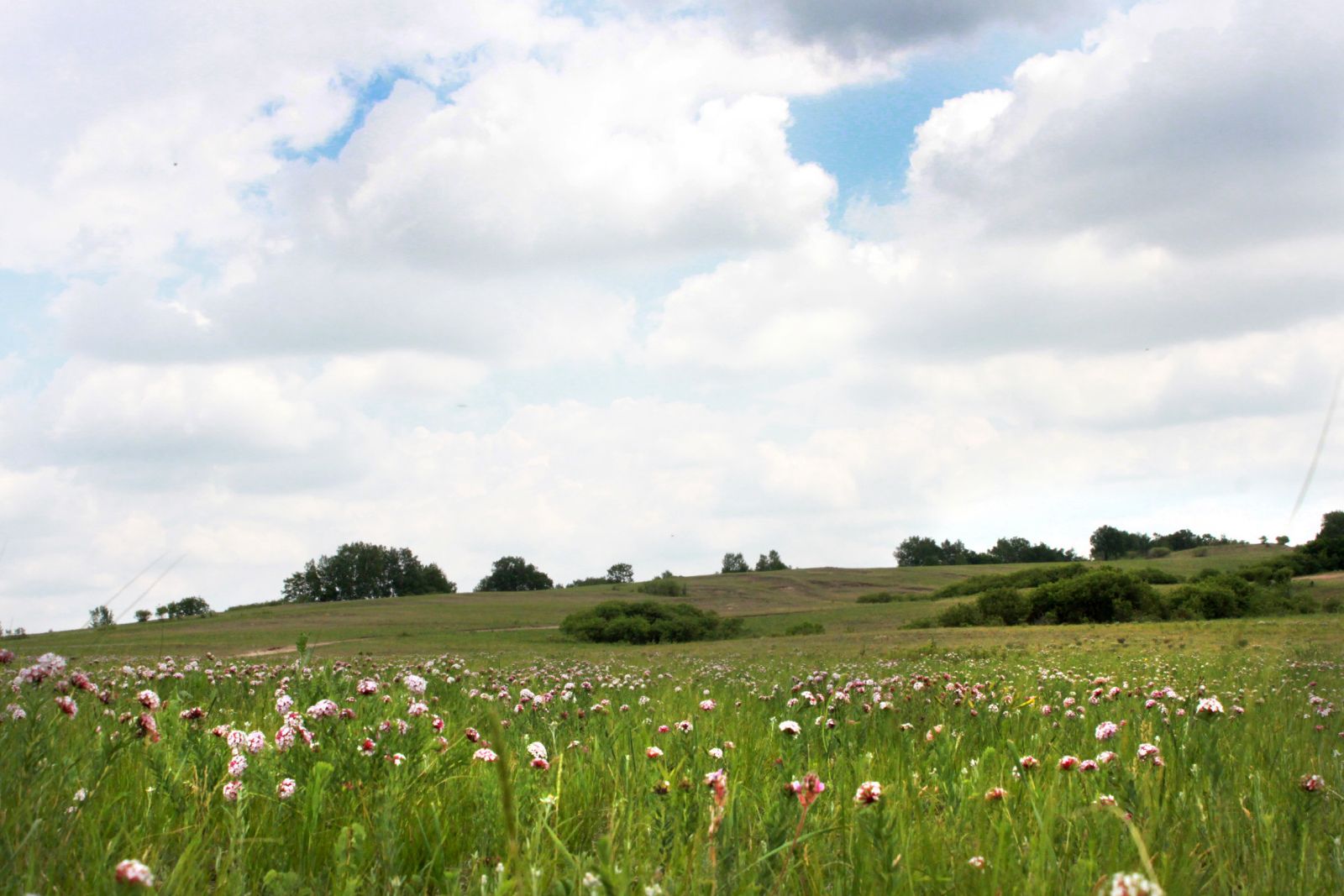 我去 這里睡大覺 （木蘭圍場）