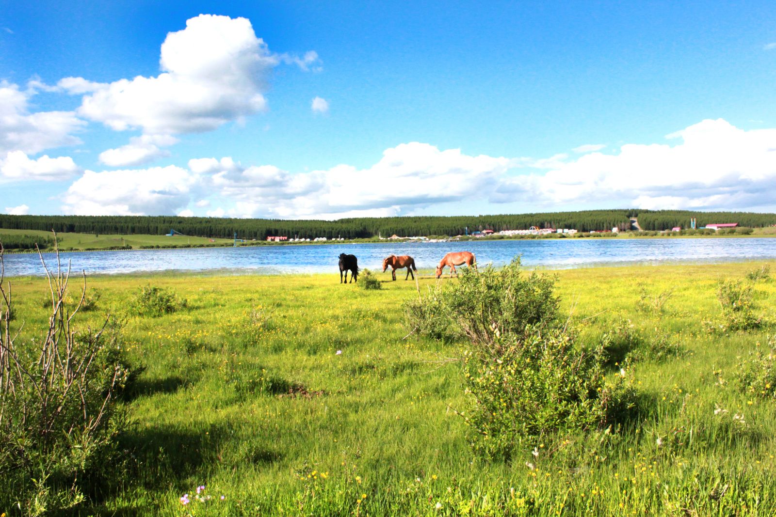我去 這里睡大覺 （木蘭圍場）