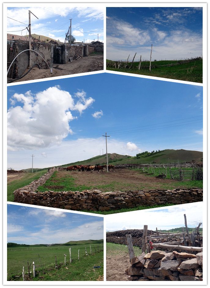 我去 這里睡大覺 （木蘭圍場）