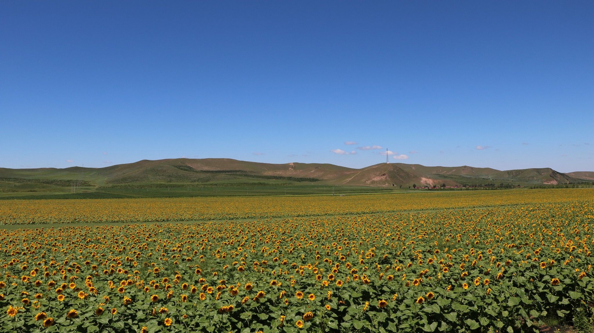 草原天路+木蘭圍場(chǎng) 2016年8月4-7日