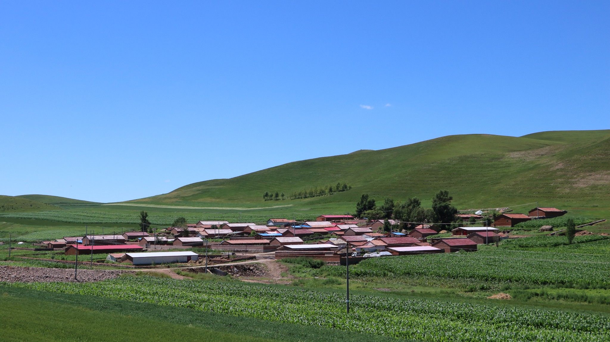 草原天路+木蘭圍場(chǎng) 2016年8月4-7日