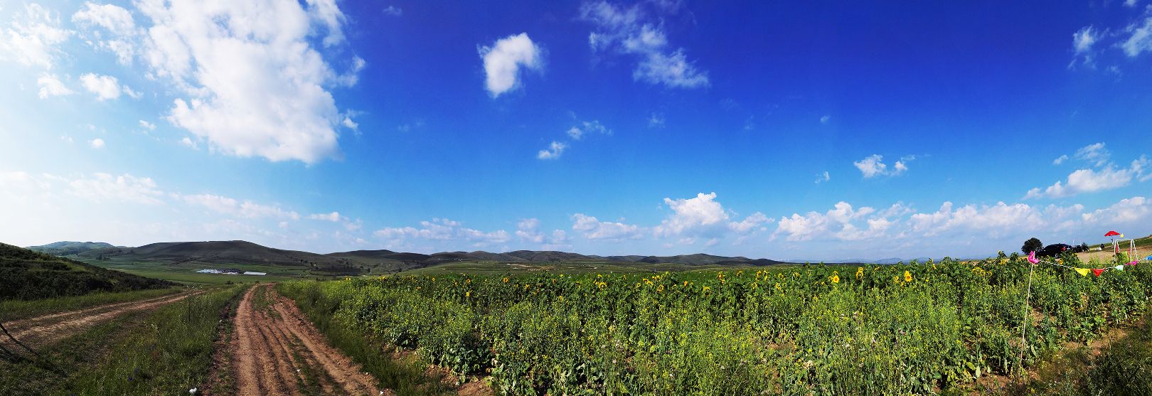 草原天路+木蘭圍場(chǎng) 2016年8月4－7日