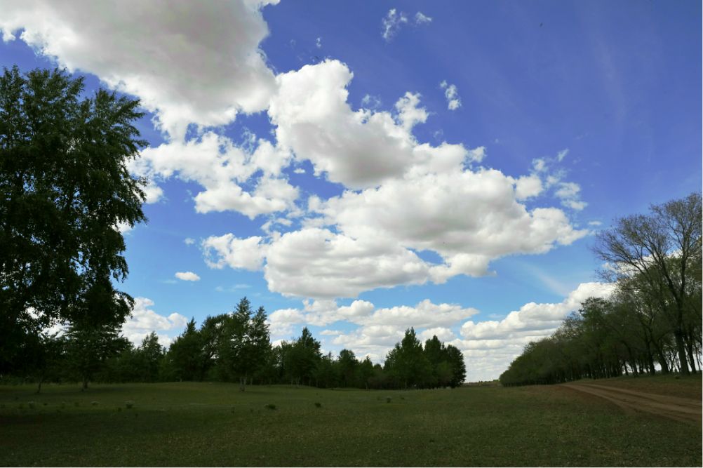 端午放風---豐寧壩上