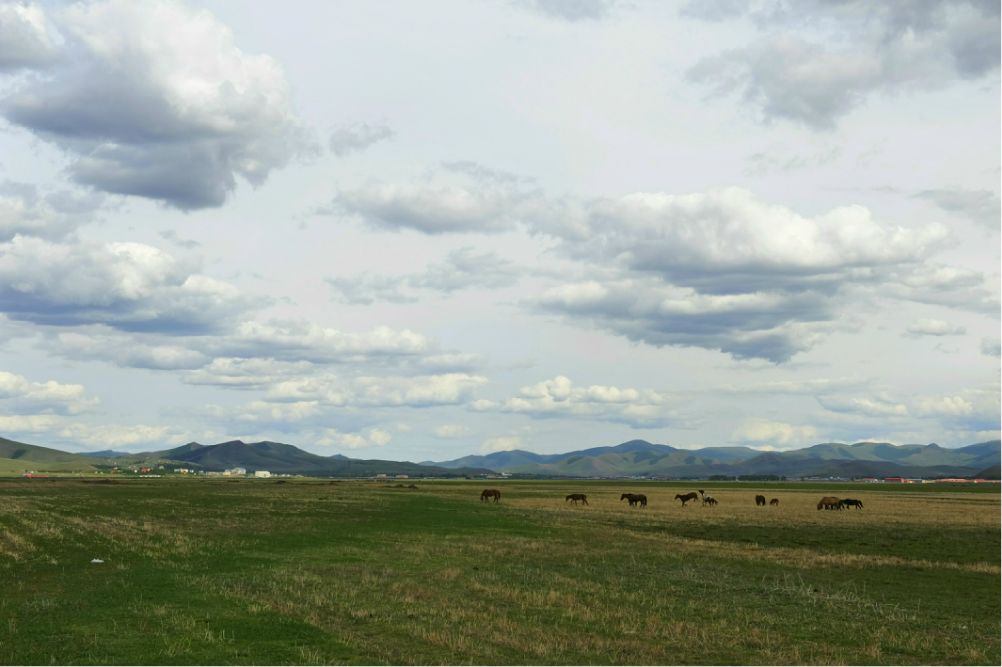 端午放風---豐寧壩上