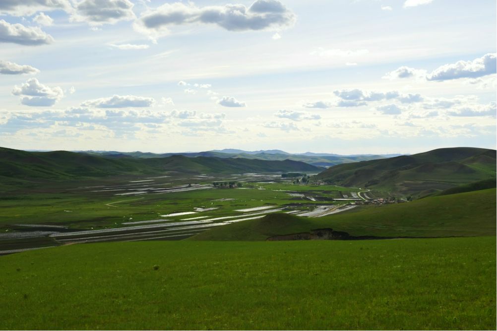 端午放風---豐寧壩上