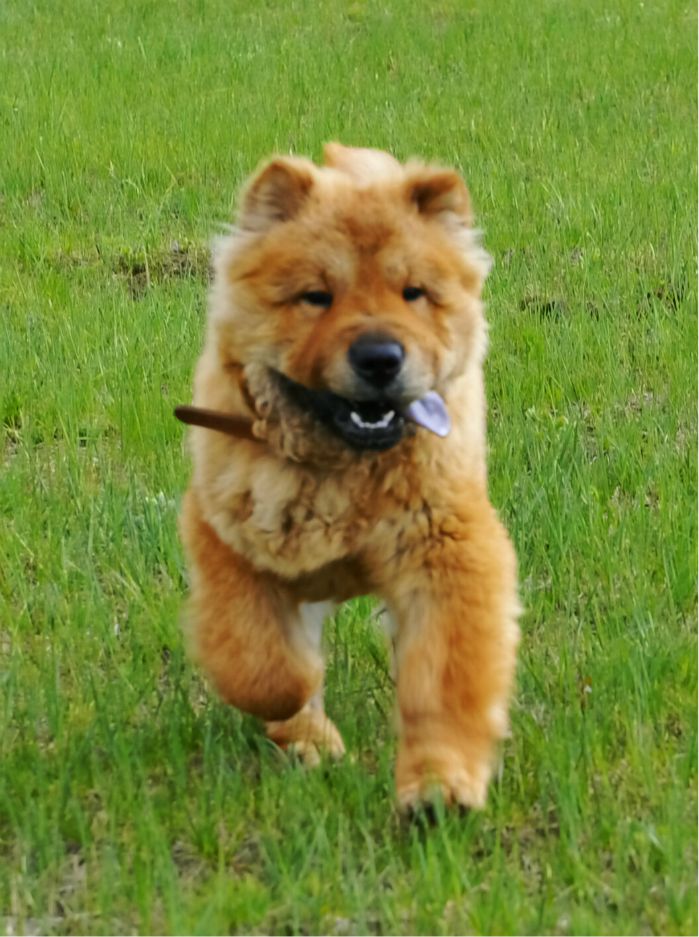 端午放風---豐寧壩上