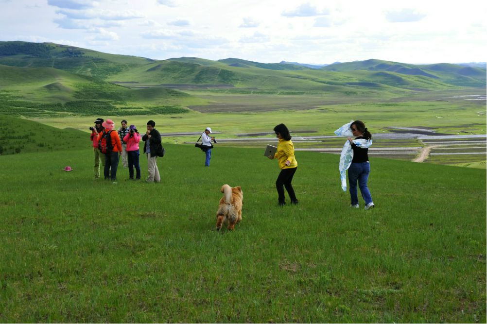 端午放風---豐寧壩上