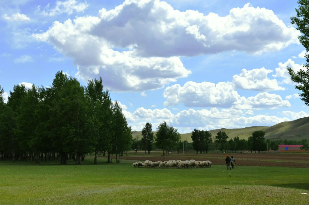 端午放風---豐寧壩上
