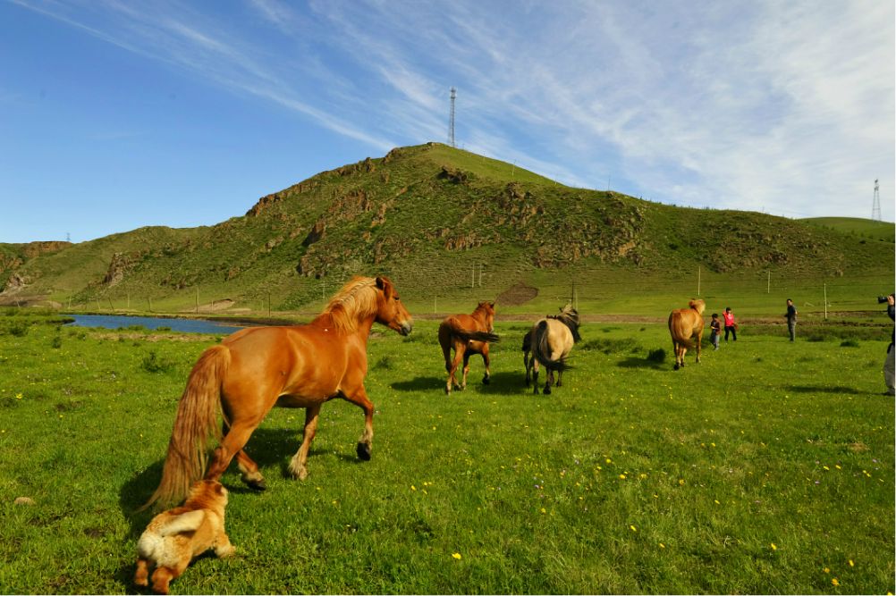 端午放風---豐寧壩上