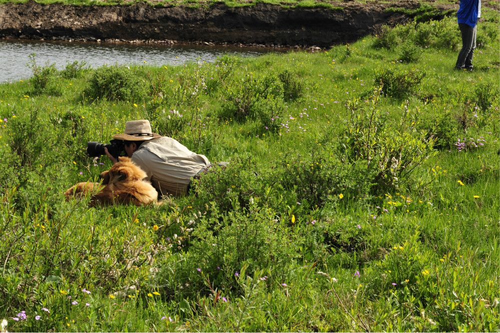端午放風---豐寧壩上