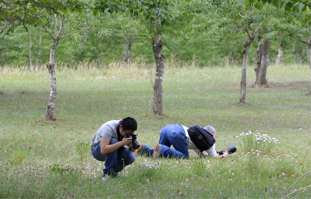 端午放風---豐寧壩上