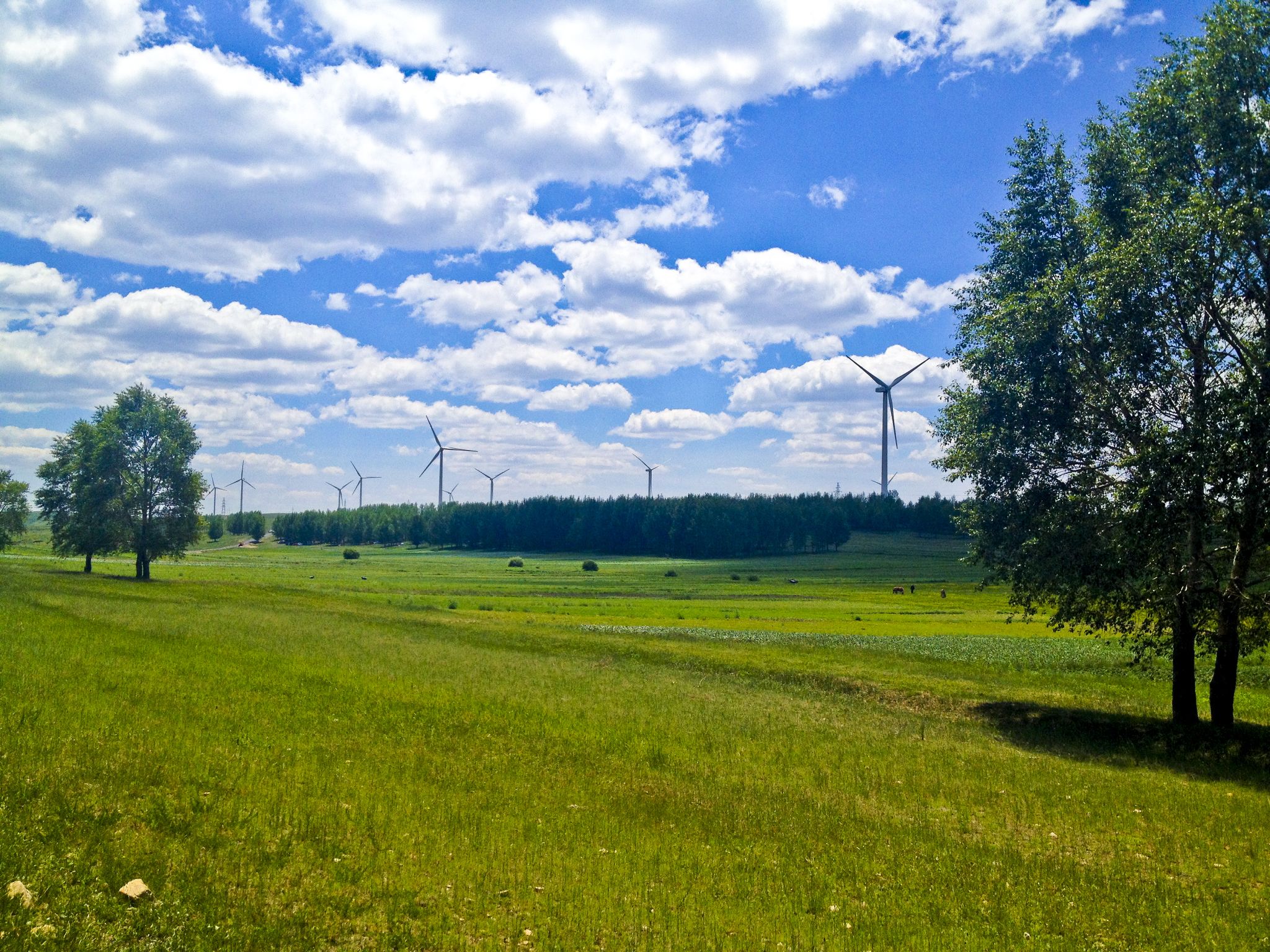 再一次行走在草沿天路上