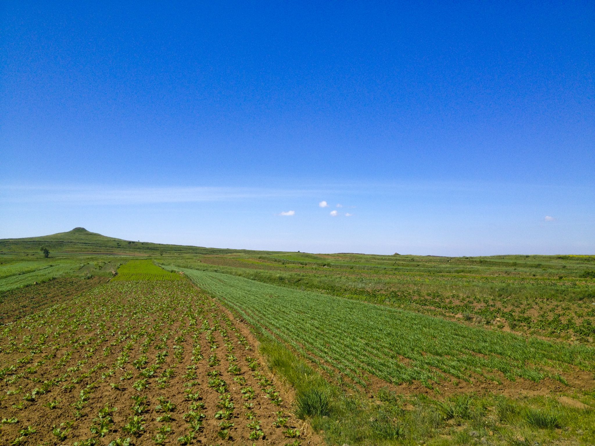 再一次行走在草沿天路上