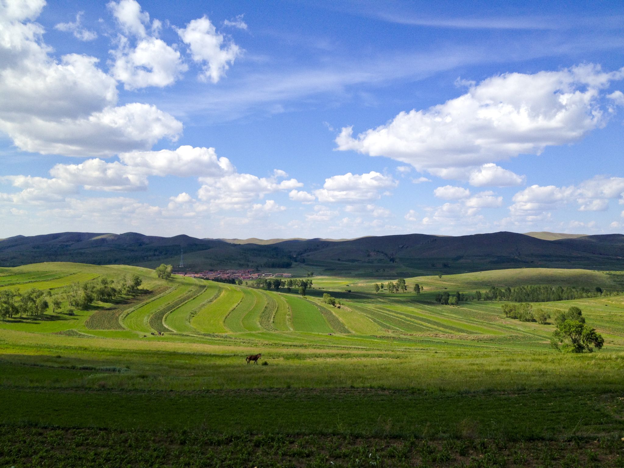 再一次行走在草沿天路上