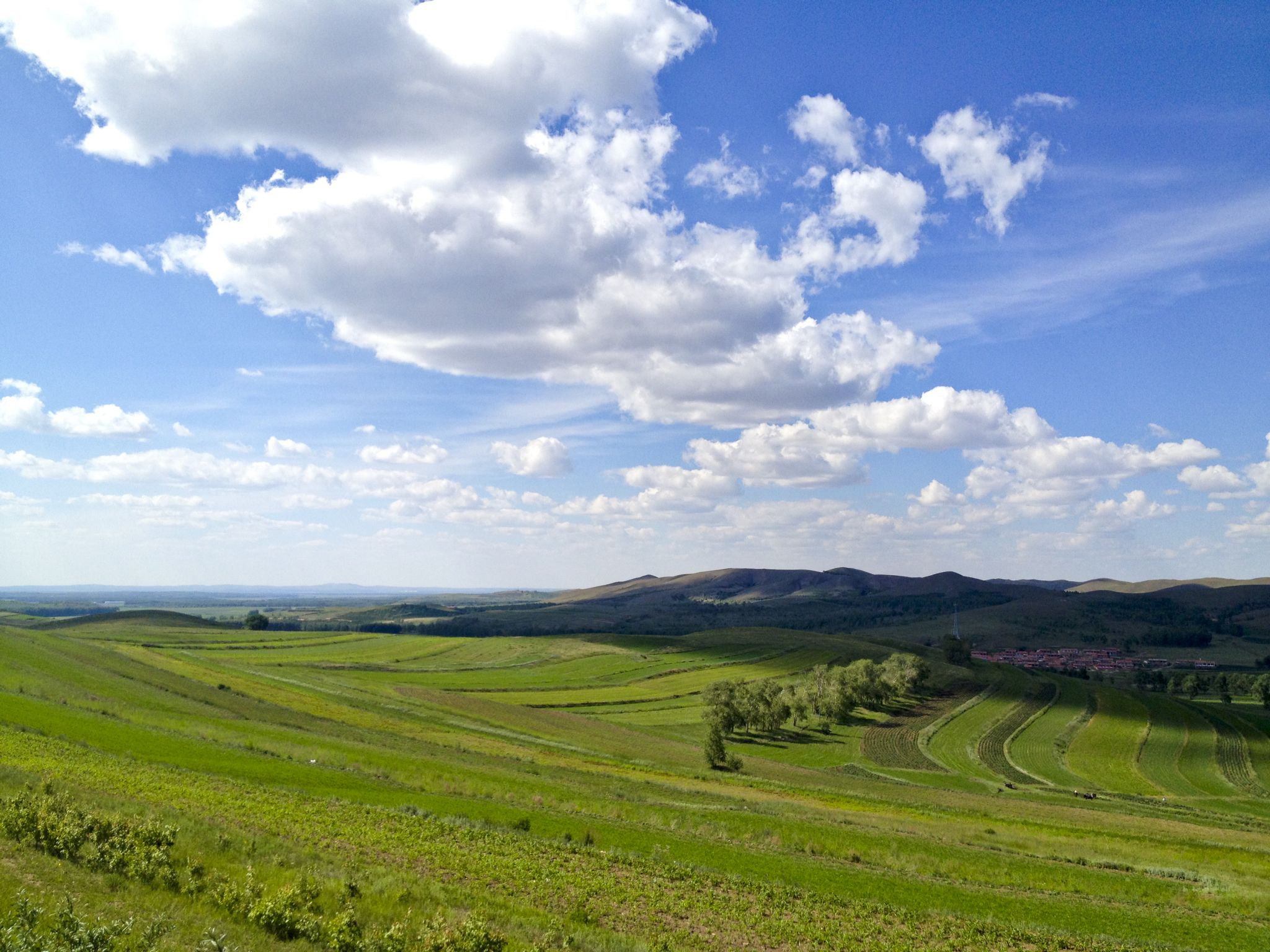 再一次行走在草沿天路上