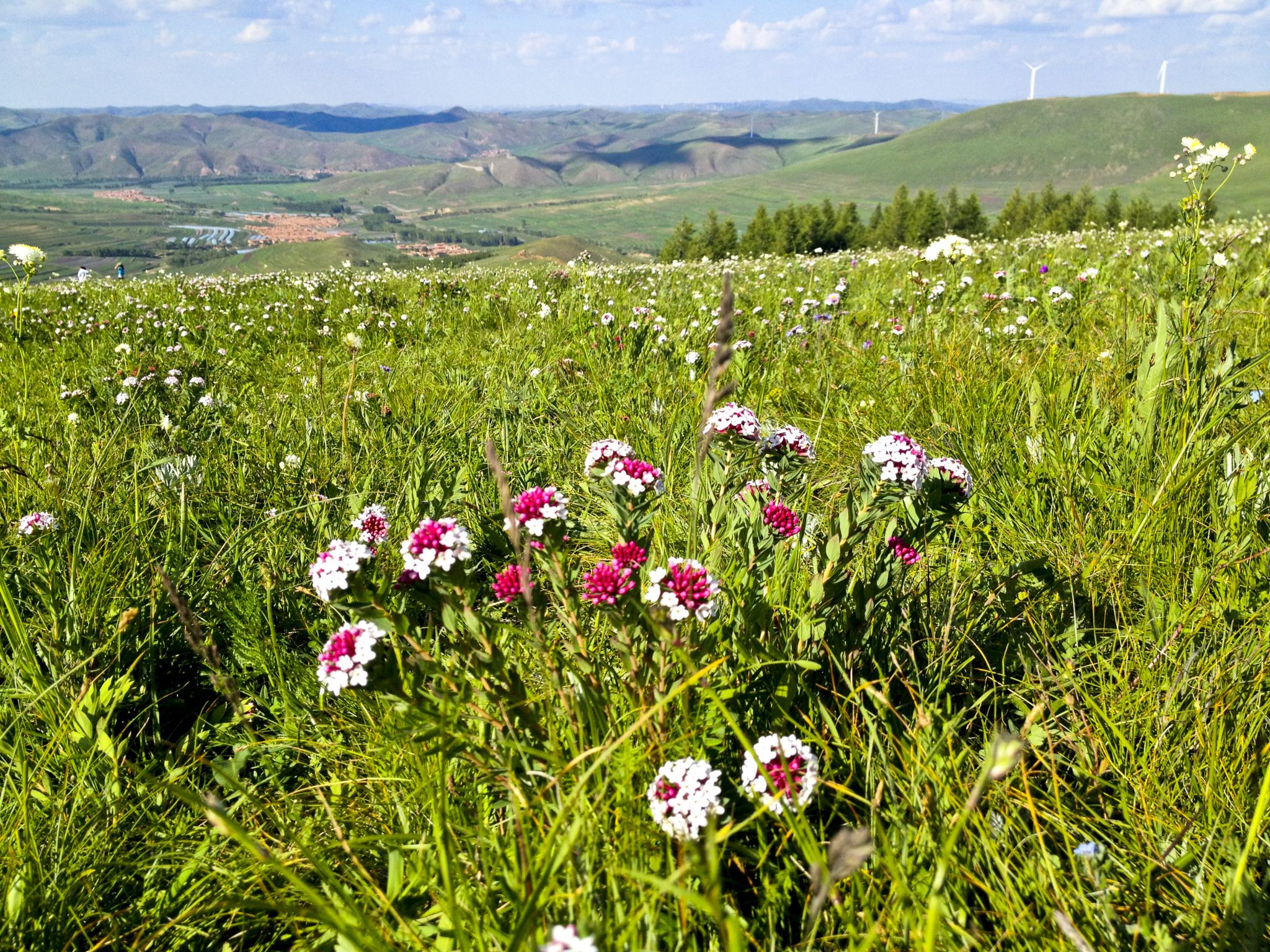 再一次行走在草沿天路上