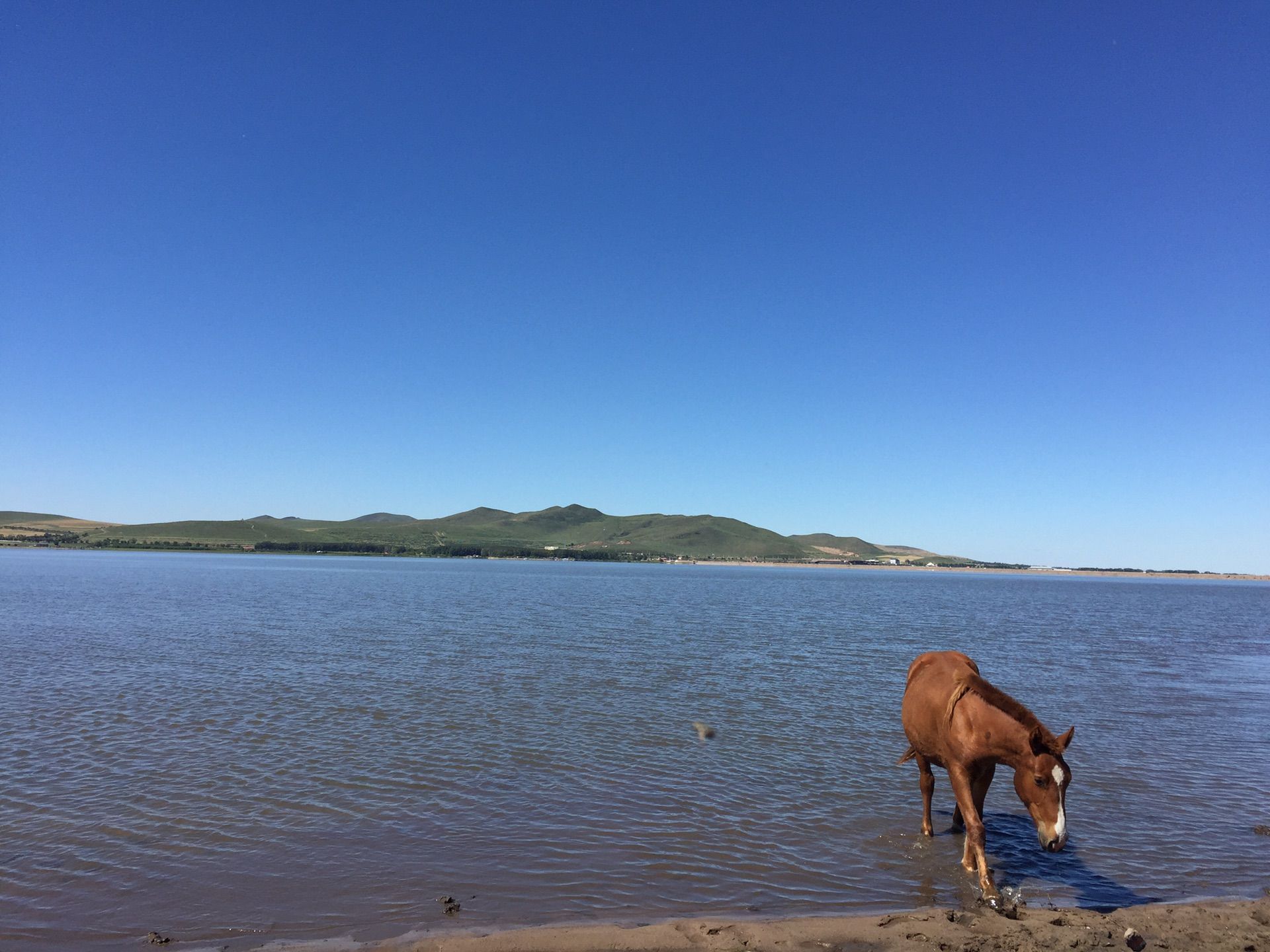 豐寧-沽源-水長城，四天三夜游