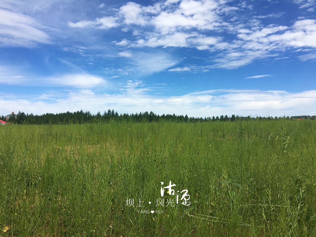 酷我團隊及家人，周末沽源壩上——看落日夕陽，觀英仙流星