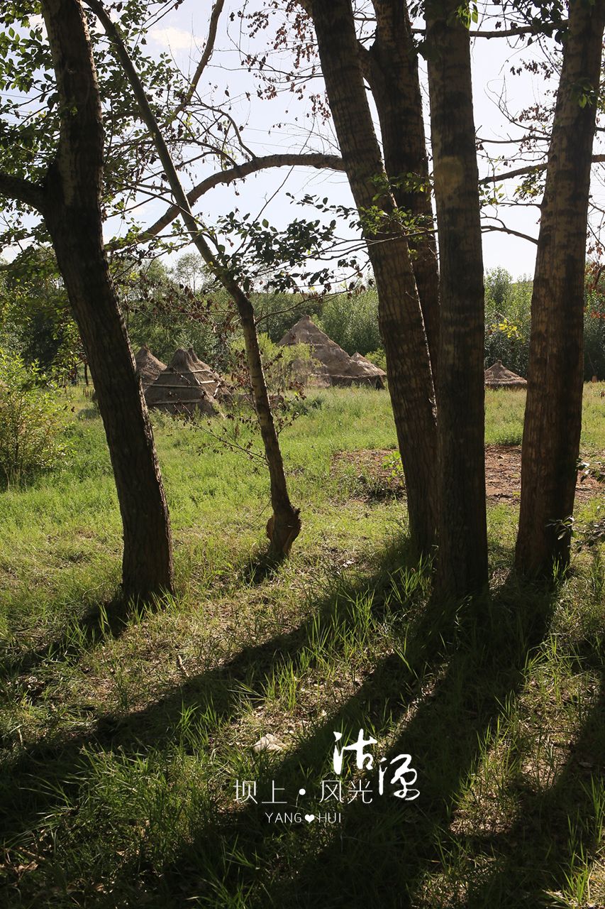 看落日夕陽，觀英仙流星