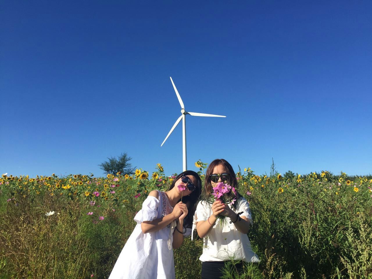 這是一條神奇的天路