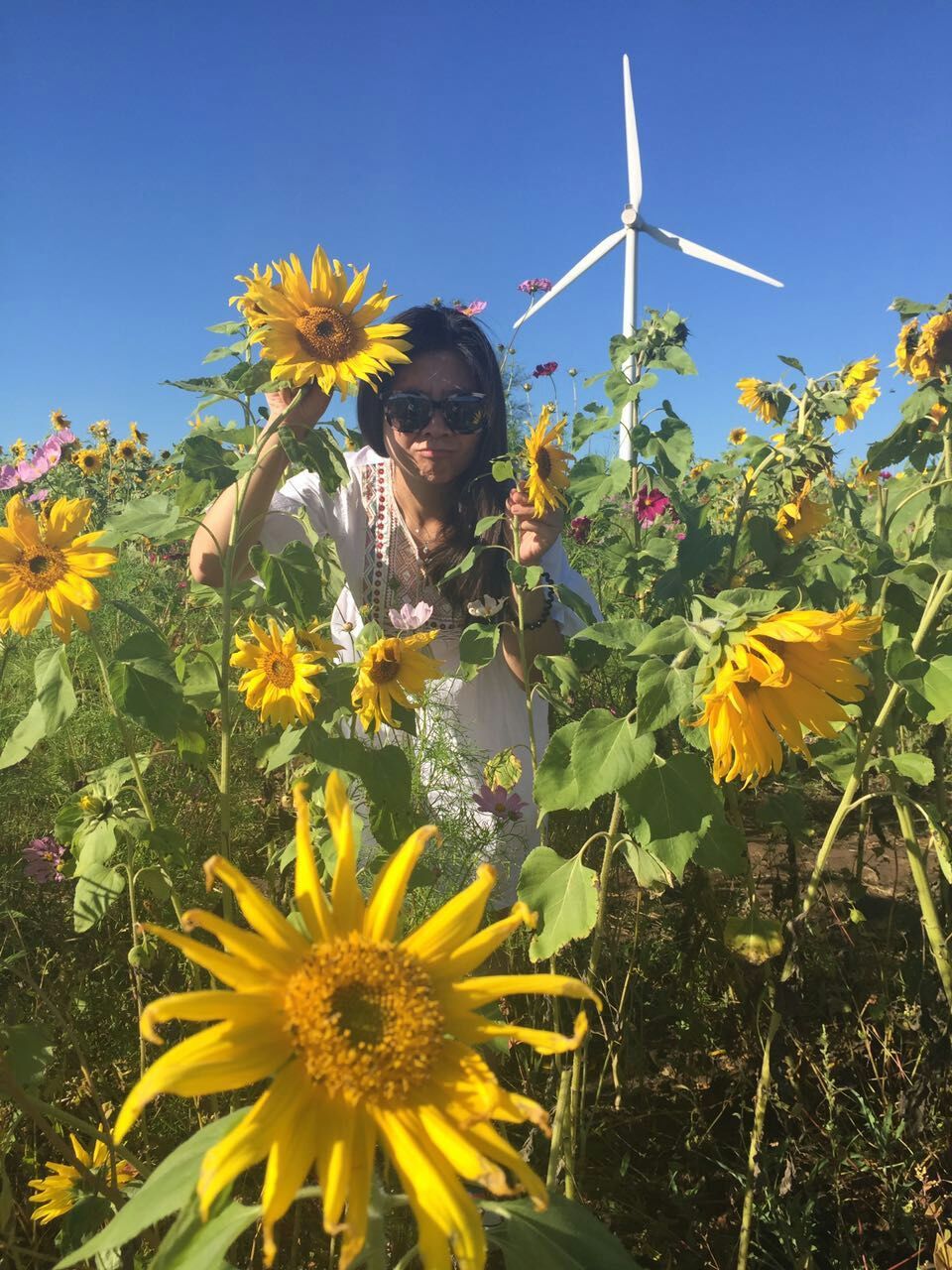 這是一條神奇的天路