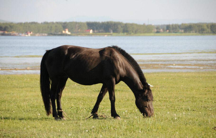 最美的風(fēng)景在路上&mdash;&mdash;張北&ldquo;草原天路&rdquo;之旅