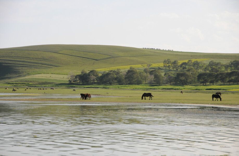 最美的風(fēng)景在路上&mdash;&mdash;張北&ldquo;草原天路&rdquo;之旅