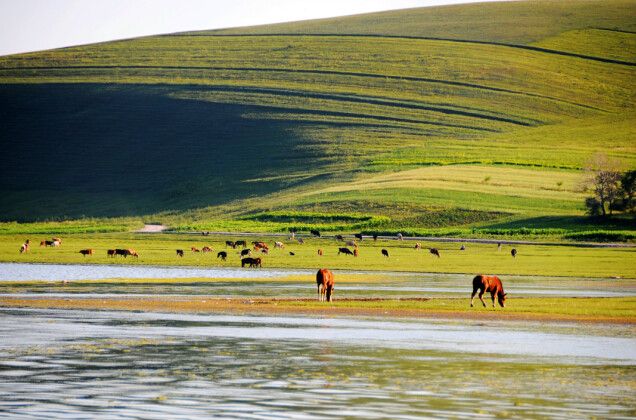最美的風(fēng)景在路上&mdash;&mdash;張北&ldquo;草原天路&rdquo;之旅