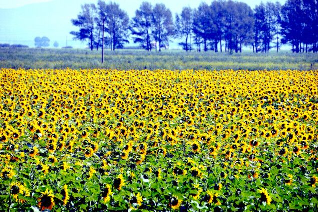 最美的風(fēng)景在路上&mdash;&mdash;張北&ldquo;草原天路&rdquo;之旅
