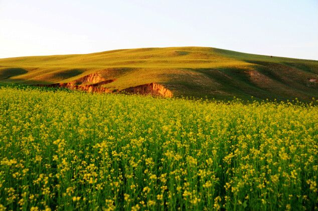 最美的風(fēng)景在路上&mdash;&mdash;張北&ldquo;草原天路&rdquo;之旅
