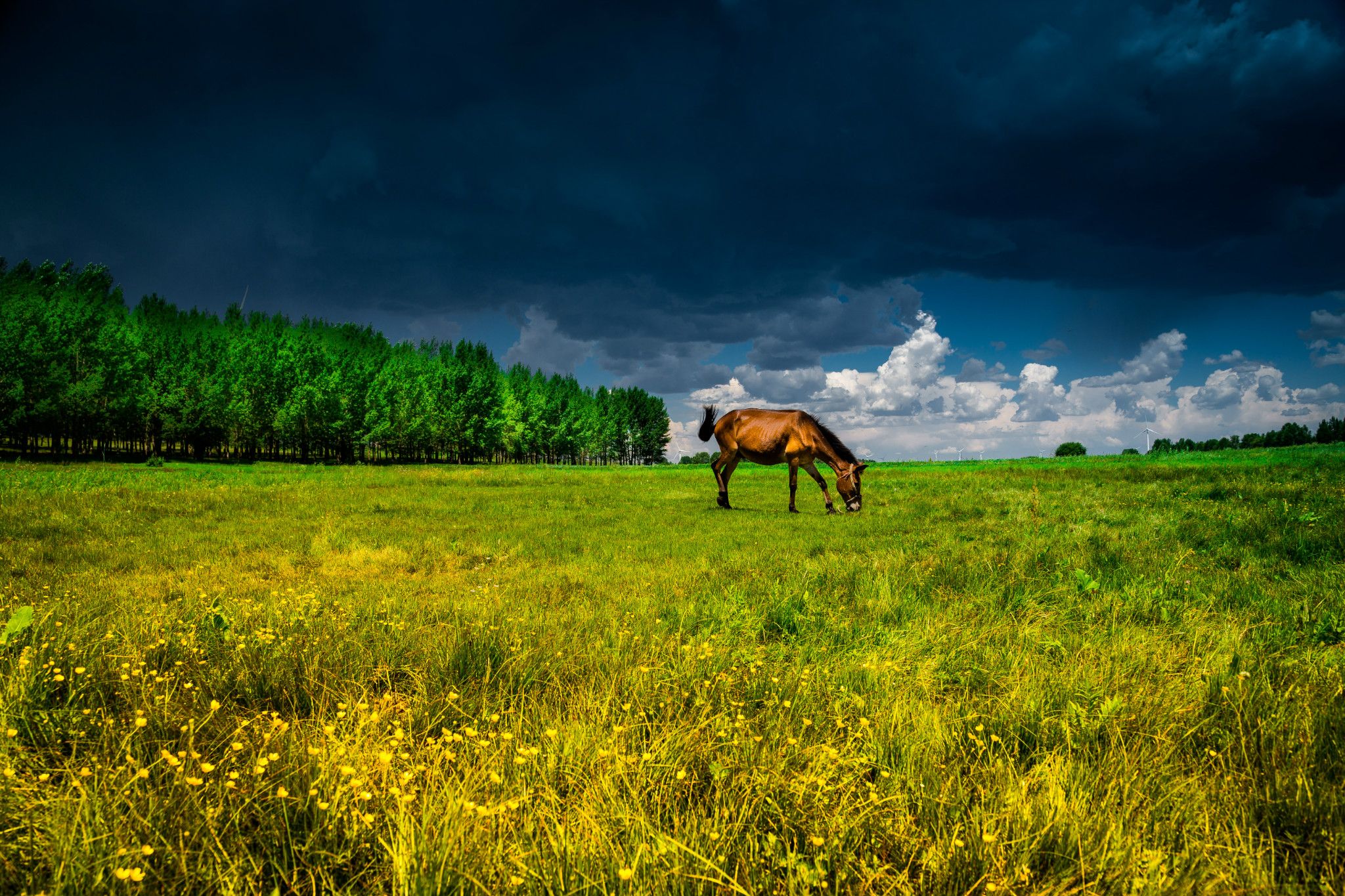 最美時節穿行草沿天路, 沽源觀灤河神韻