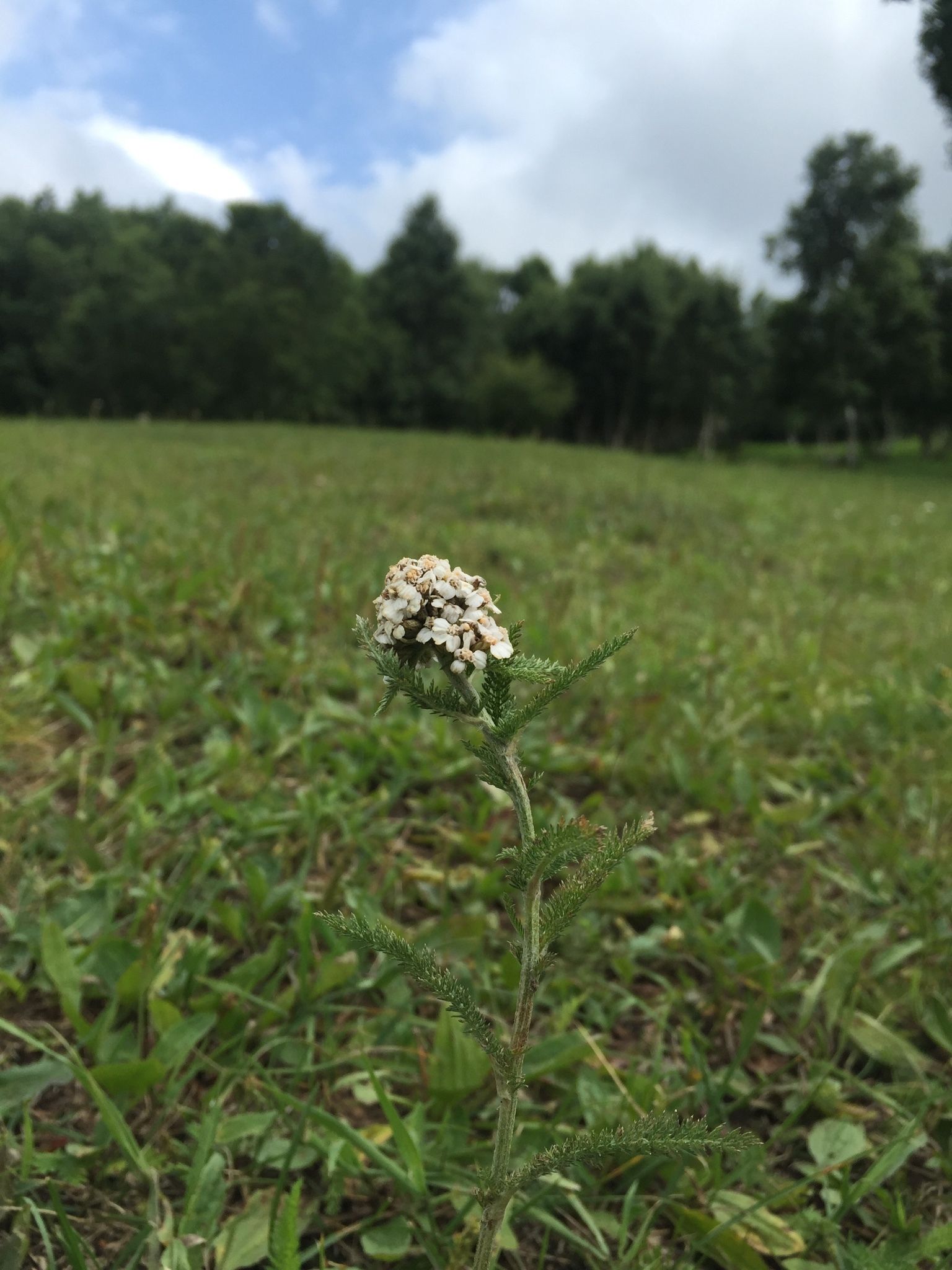 老掌東溝，美到詞窮