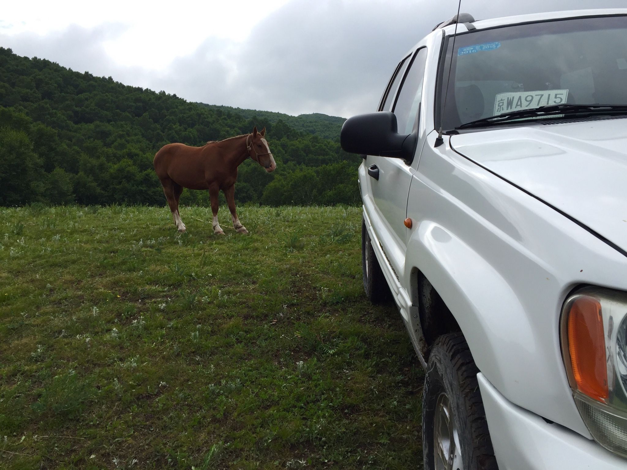 老掌東溝，美到詞窮
