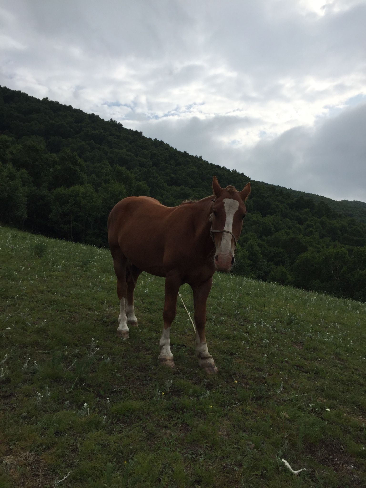 老掌東溝，美到詞窮